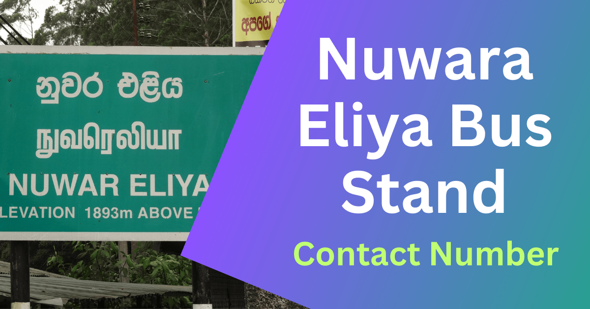 Nuwara Eliya Bus Stand Contact Number for Booking, Bus Time