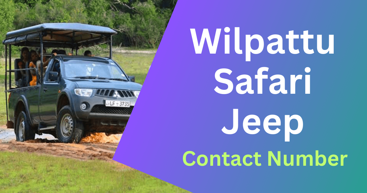 safari cars contact number